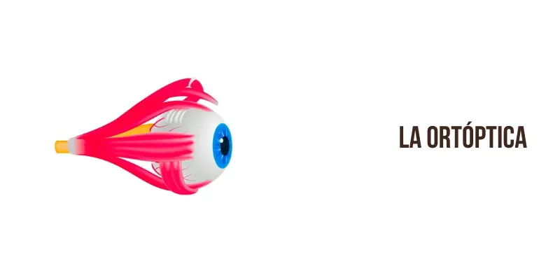 ¿Qué significa la palabra Ortóptica y que hace un Ortoptista?